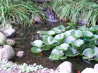 LANDSCAPE WATER FEATURES